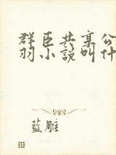 群臣共享公主银羽小说叫什么