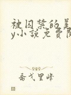 被囚禁的美人by小说免费阅读