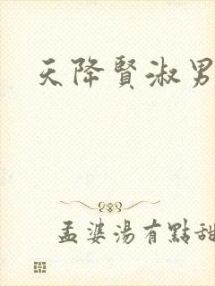 天降贤淑男小说