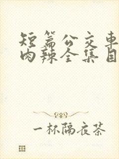 短篇公交车高h肉辣全集目录封面