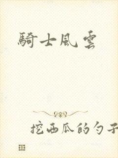 骑士风云