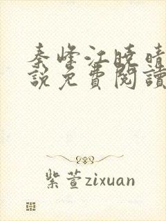 秦峰江晓晴的小说免费阅读