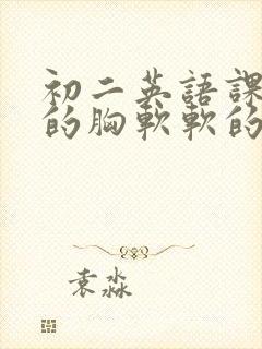 初二英语课代表的胸软软的