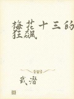 梅花十三的乳液狂飙