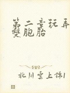 第二章玩弄少妇双胞胎