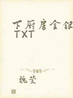 下厨房金银花露 TXT封面