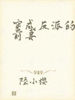 穿成反派的炮灰前妻封面