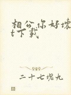 相公你好坏txt下载