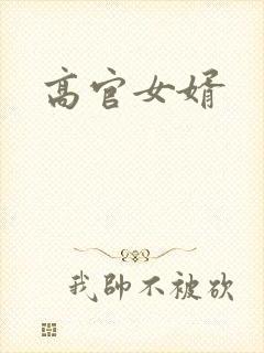 高官女婿