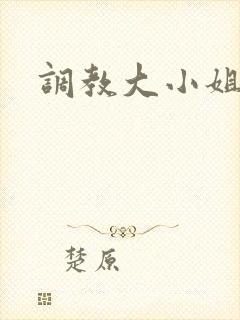 调教大小姐