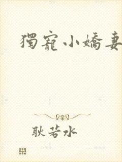独宠小娇妻封面
