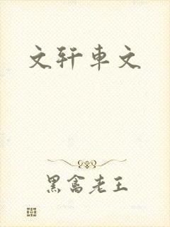 文轩车文
