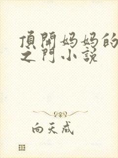 顶开妈妈的生命之门小说