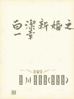白洁新婚之夜第一章封面