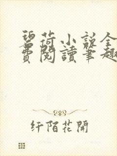 碧荷小说全文免费阅读笔趣阁