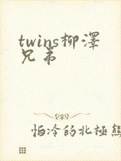 twins柳泽兄弟