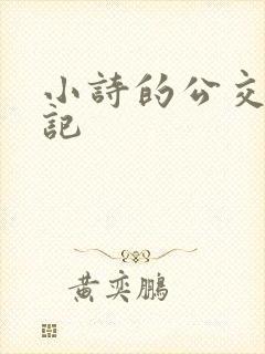 小诗的公交车日记