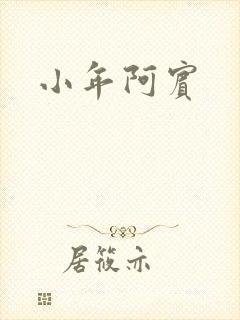 小年阿宾封面