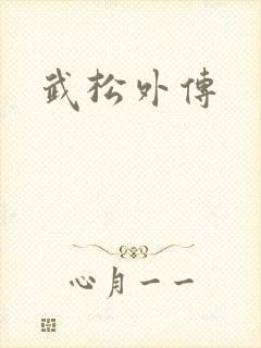 武松外传
