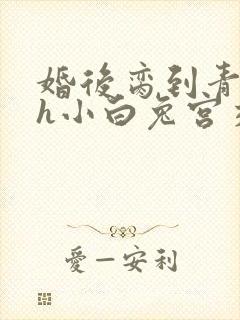 婚后脔到青梅哭h小白兔宫交h