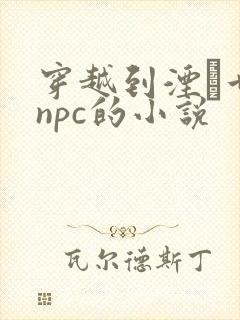 穿越到湮婸世界npc的小说封面