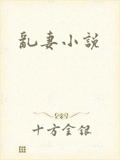 乱妻小说