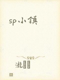 sp小镇封面