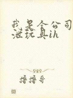 我是全公司的发泄玩具ih封面