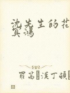 沈先生的花式调冥鸿