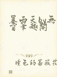 暴雨天by无弹窗笔趣阁