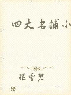 四大名捕小说