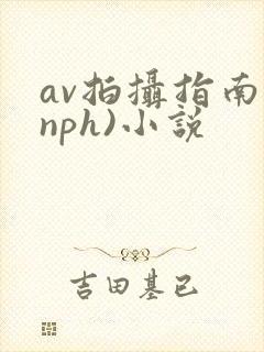 av拍摄指南(nph)小说