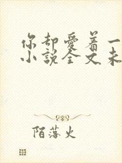 你却爱着一个他小说全文未删减免费