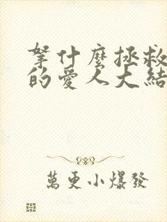 拿什么拯救你我的爱人大结局封面