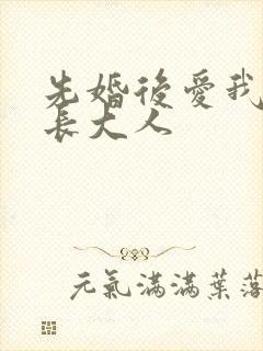 先婚后爱我的市长大人