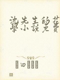 沈先生的花式教学小说免费封面