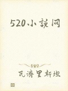 520小说网