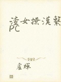 渣女撩汉系统NPC