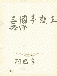 三国梦想王元姬无惨