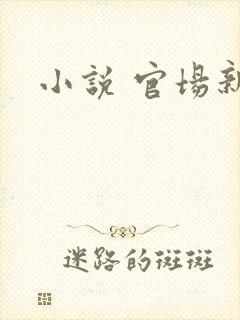 小说 官场新贵封面