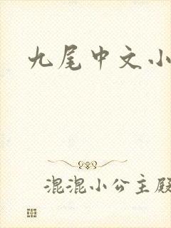 九尾中文小说网封面