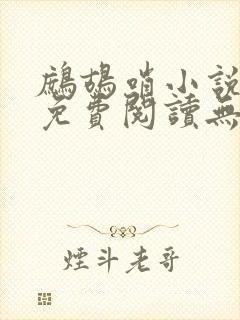 鹧鸪哨小说网站免费阅读无弹窗