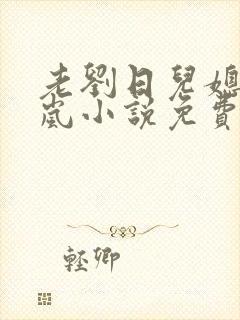 老刘日儿媳妇张岚小说免费阅读