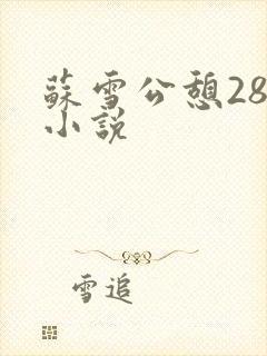 苏雪公憩28篇小说封面