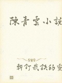 陈青云小说