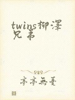 twins柳泽兄弟封面