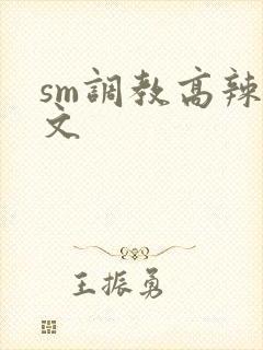sm调教高辣h文封面
