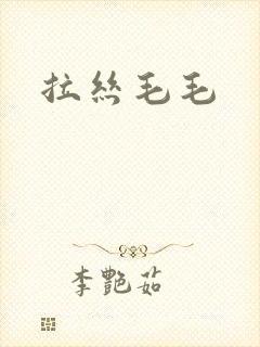 拉丝毛毛
