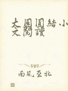 大团圆结小茹全文阅读