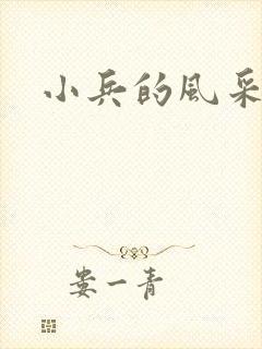 小兵的风采封面